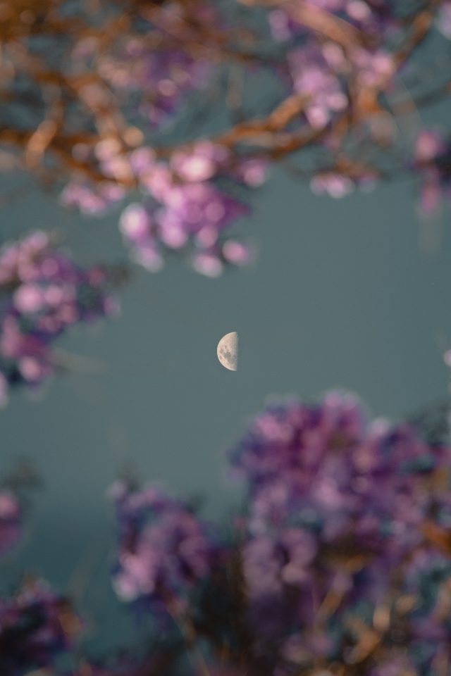 Lire la suite à propos de l’article La Lune en signes dans le thème natal