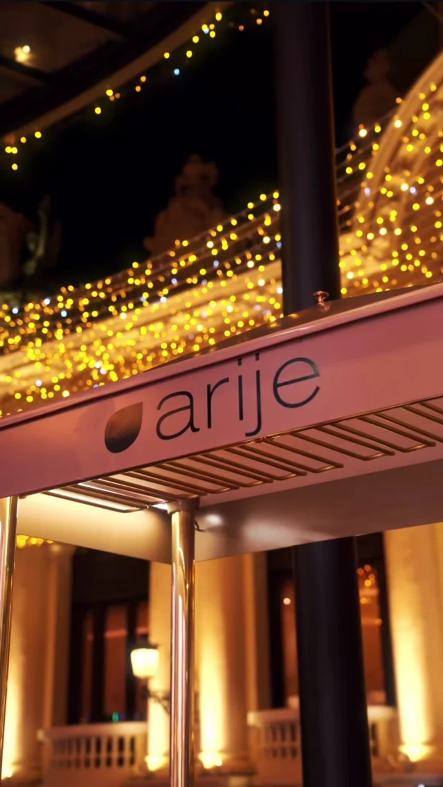 NoelArijeMonacoScreenshotVideo (1)